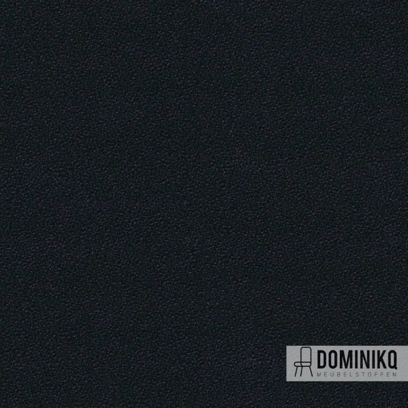 Camira - Aquarius -JA448- SpinOza