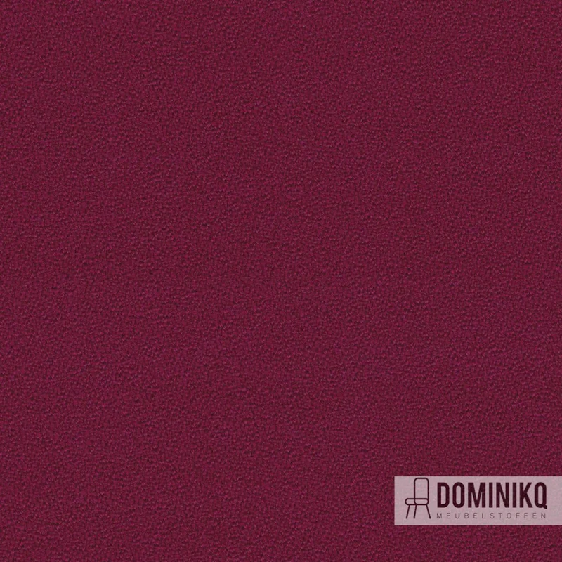 Camira - Aquarius - JA084 - Poison