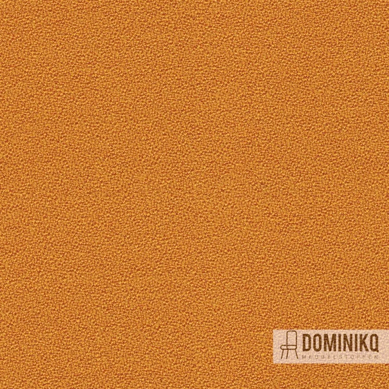 Camira - Aquarius - JA426 - Zippy