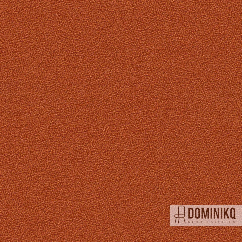 Camira - Aquarius - JA068 - Ambre