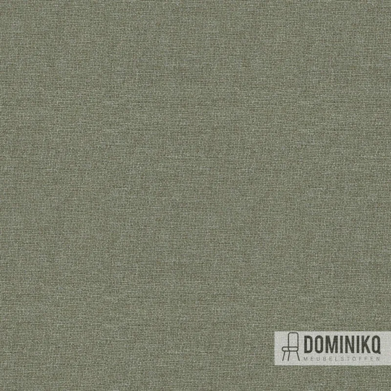 Camira - Aspect - ACT17 - Clochettes