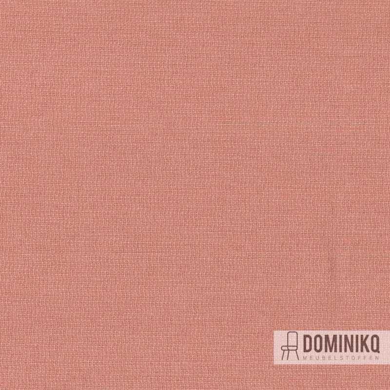 Camira - Aspect - ACT07 - Pétra