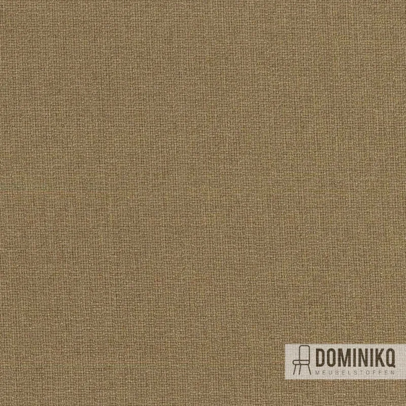 Camira - Aspect - ACT11 - Palenque