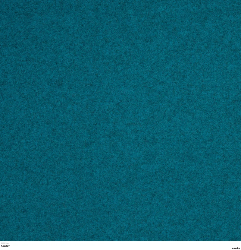 Camira - Blazer - CUZ3B Abertay