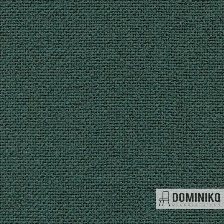 Camira - Cara -EJ187-Lora