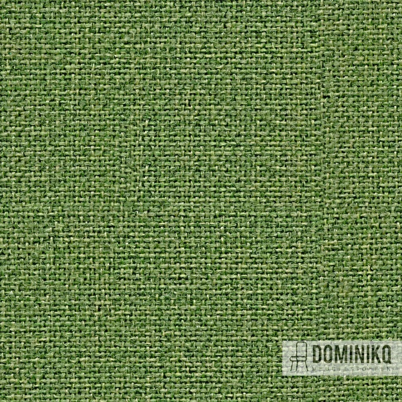 Camira - Cara - EJ185 - Staffa