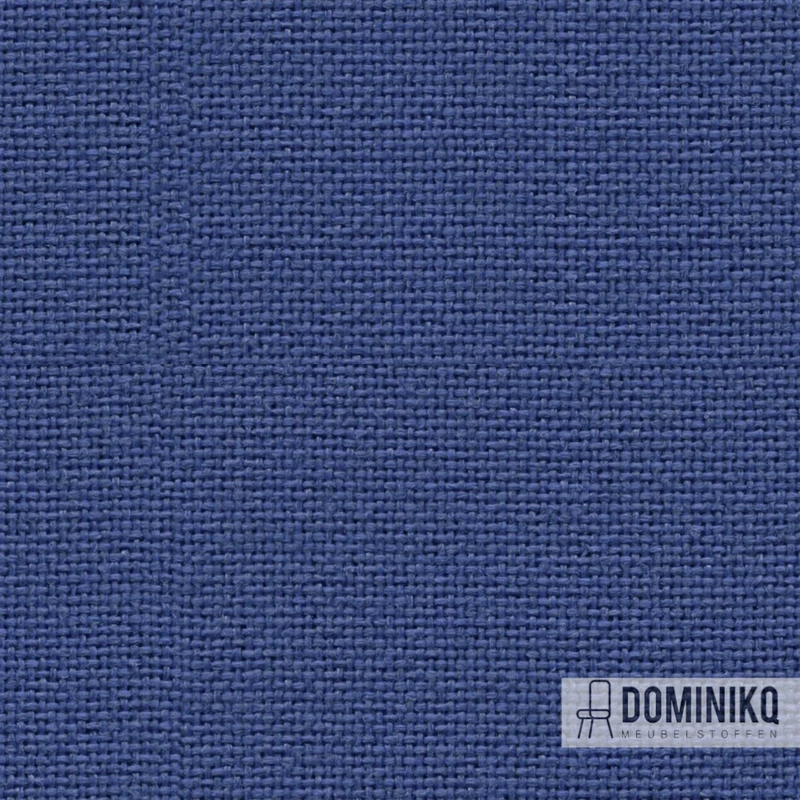 Camira - Cara - EJ154 - Adriatique