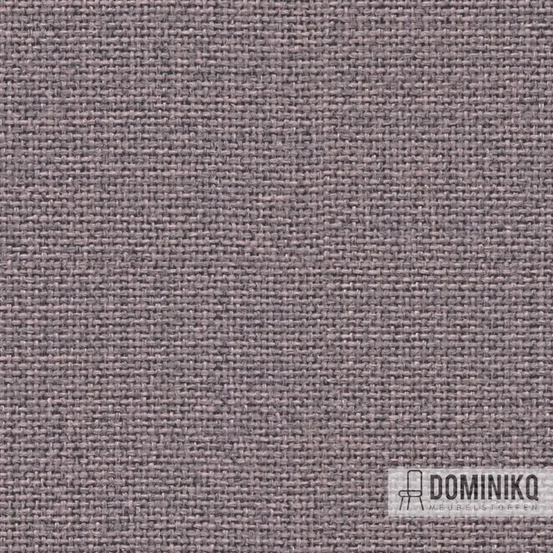 Camira - Cara - EJ196 - Denis