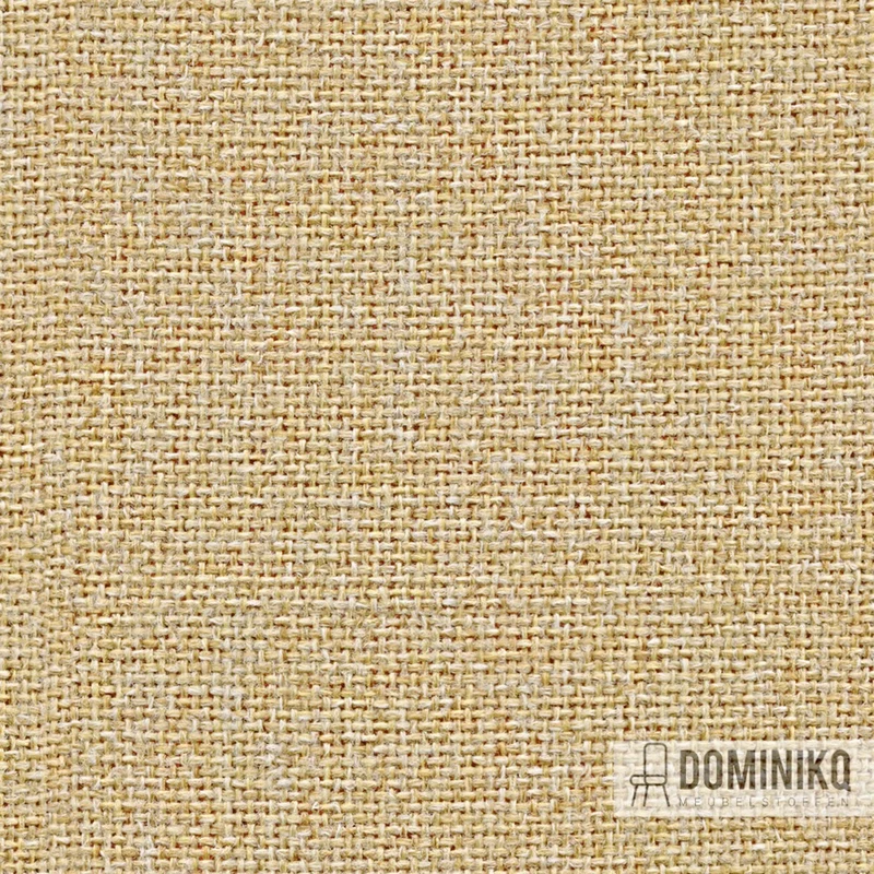 Camira - Cara -EJ173-Austen