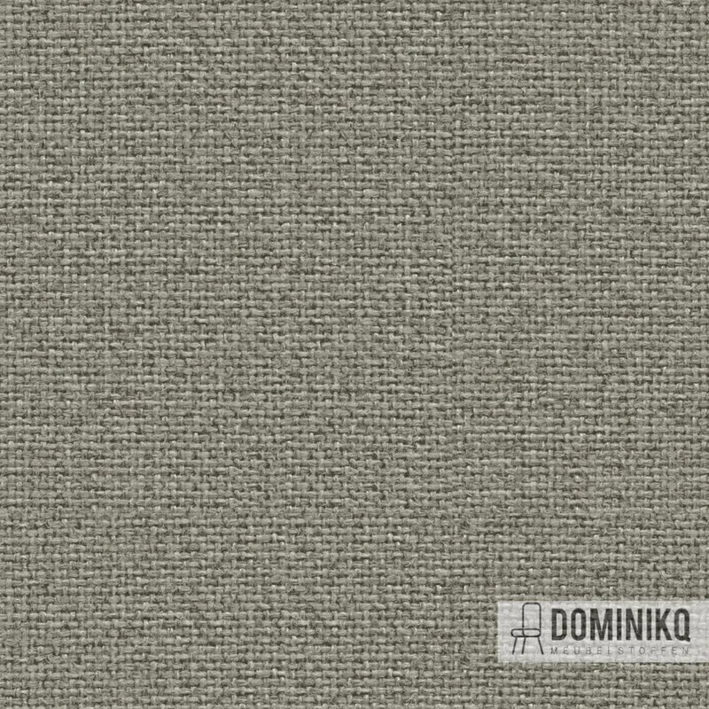 Camira - Cara -EJ190-Hillswick