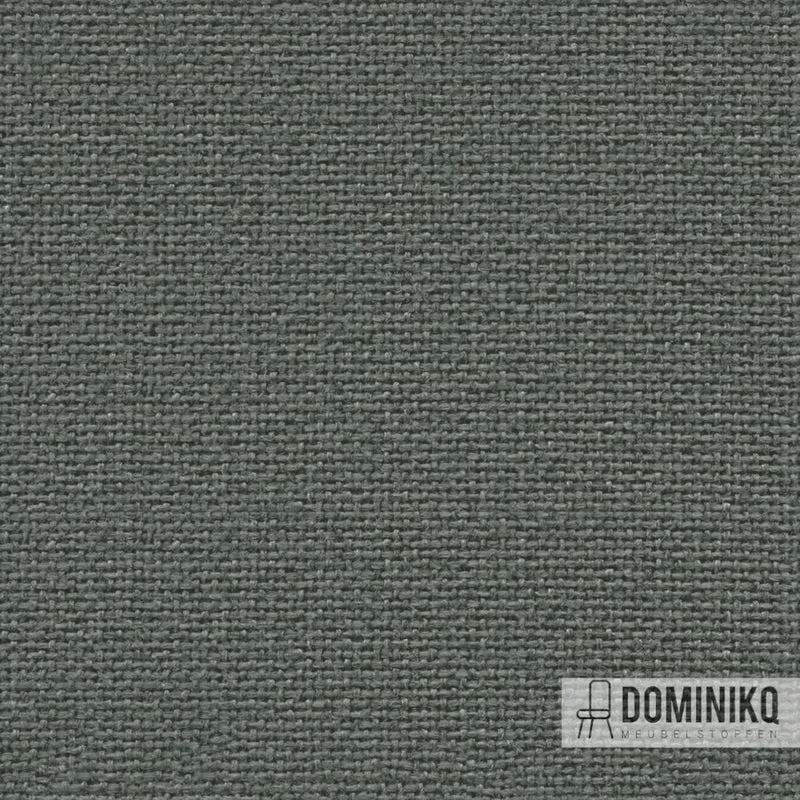 Camira - Cara -EJ048-Merrick