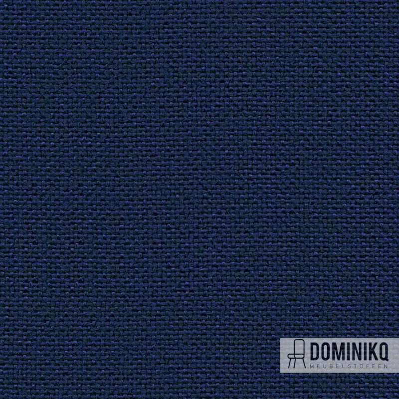 Camira - Cara -EJ011-Walten