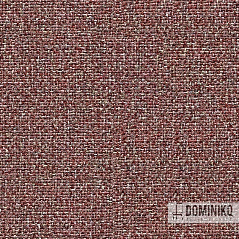 Camira - Cara - EJ197 - Lossie