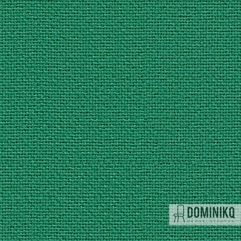 Camira - Cara -EJ015-Carron