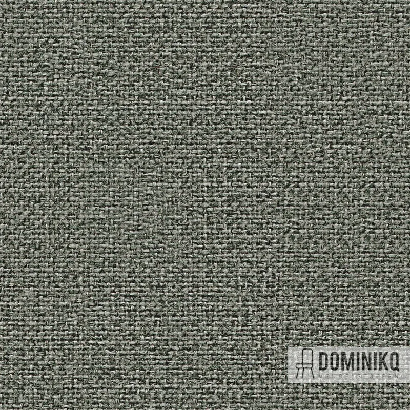 Camira - Cara -EJ016-Portland
