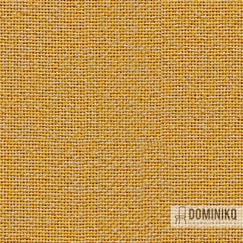 Camira - Cara - EJ195 - Marée