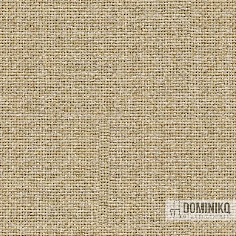 Camira - Cara -EJ192-Lomond