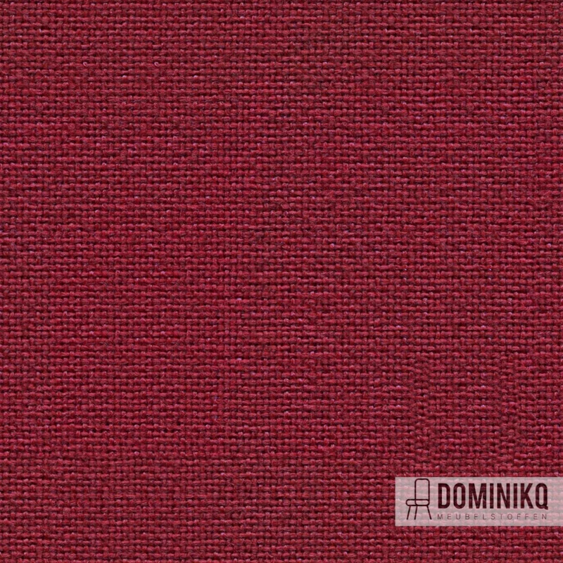 Camira - Cara - EJ038 - Tummel
