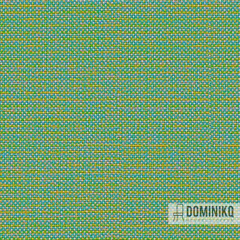 Camira - Carlow -CLW19-Ardmore