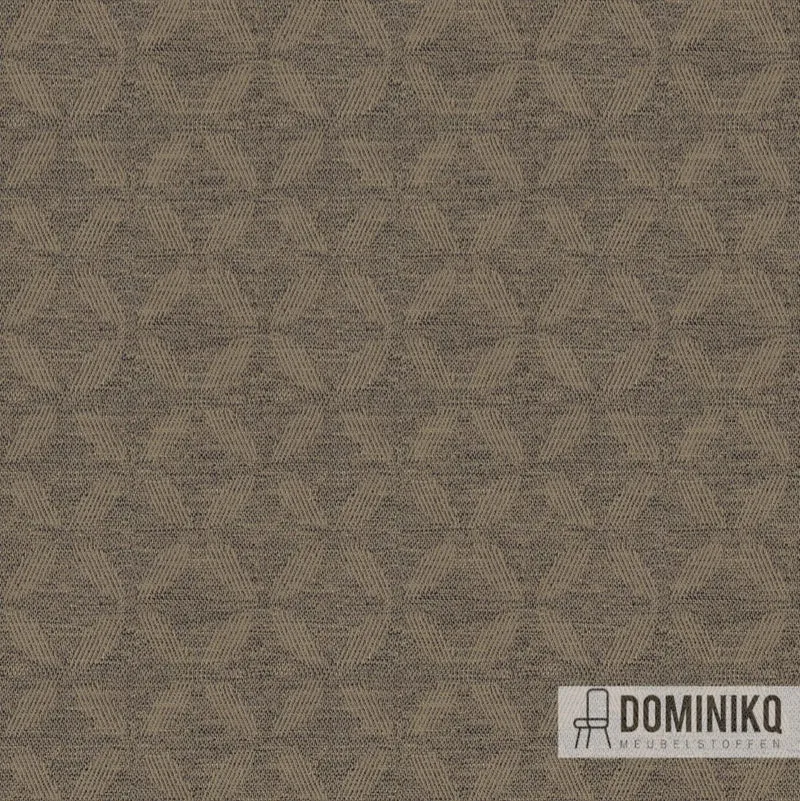 Camira -Alcyon Aspen - HPA10 - Amande