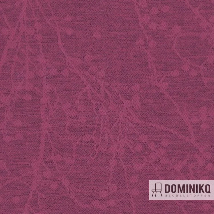 Camira - Halcyon Blossom - HPB01 - Pétale
