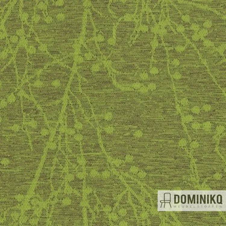 Camira - Halcyon Blossom - HPB07 - Groseille