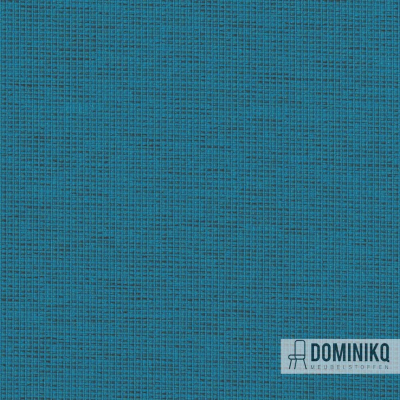 Camira - Halcyon Cedar - HPC06 - Botanique