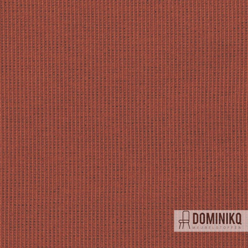 Camira - Halcyon Cedar - HPC11 - Lis Tigré