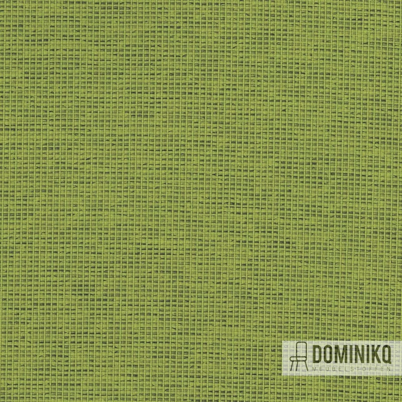 Camira - Halcyon Cedar - HPC07 - Groseille