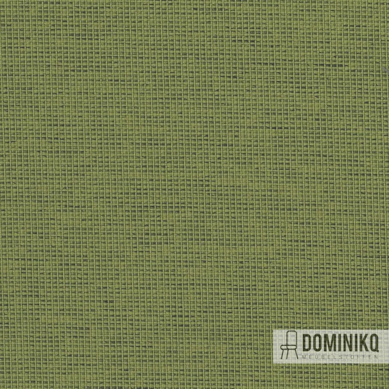 Camira - Halcyon Cedar - HPC08 - À feuilles persistantes
