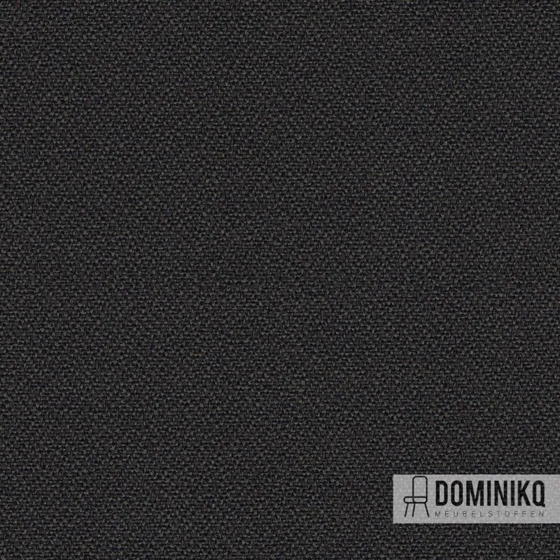 Camira - Intervenir Plaine - YH046