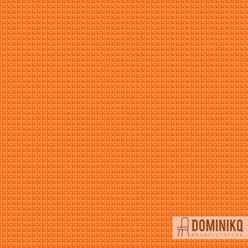 Camira - Intervene Texture -YW148