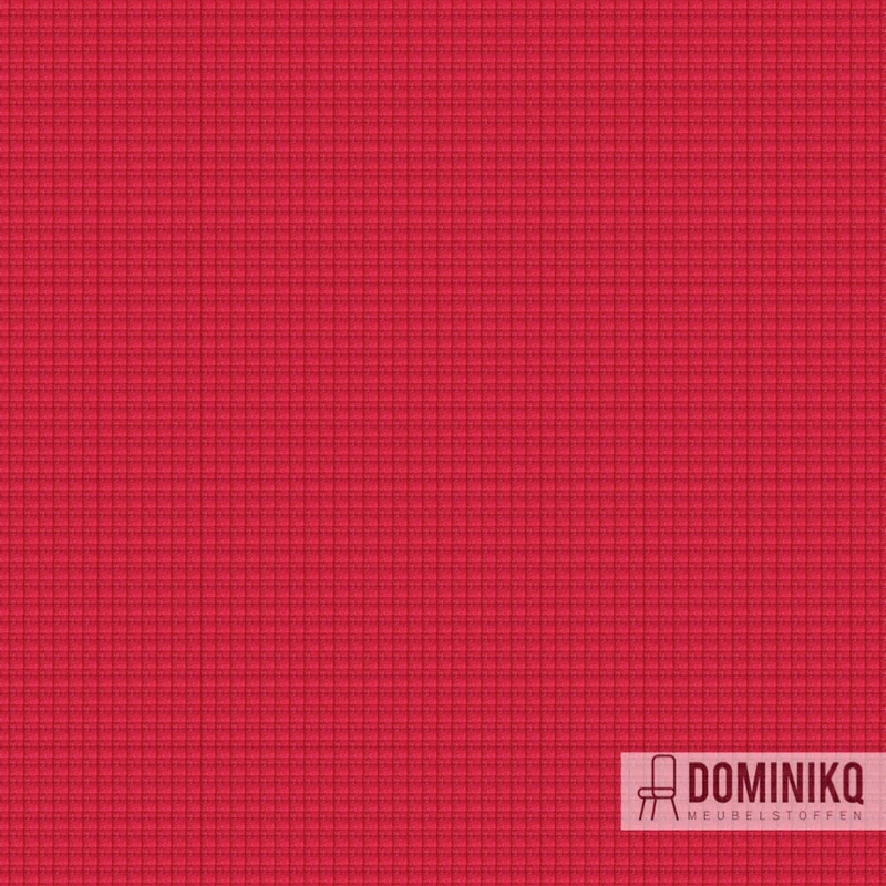 Camira - Intervene Texture -YW203