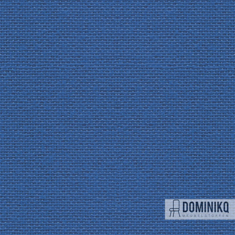 Camira - Citadel - FL125 - Augusta