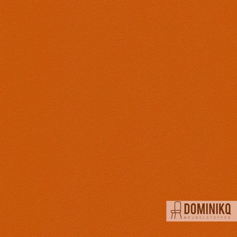 Camira - Deca - DÉC13 - Decathlon