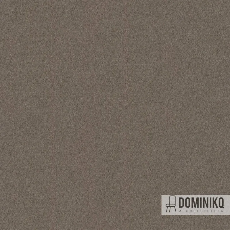 Camira - Deca - DÉC06 - Juu
