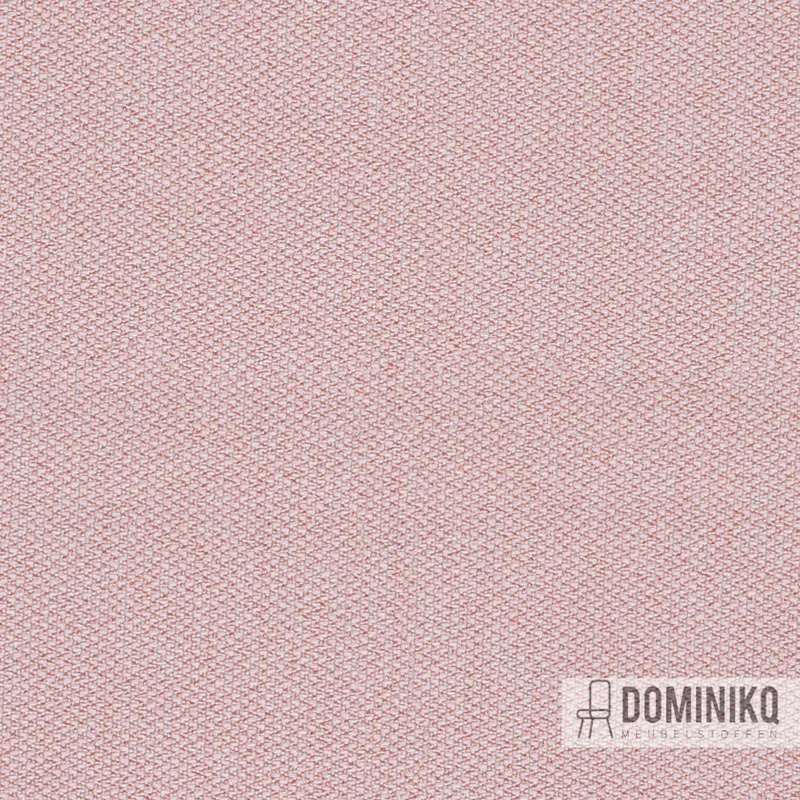 Camira - Era 170 - CSX19 - Calendrier