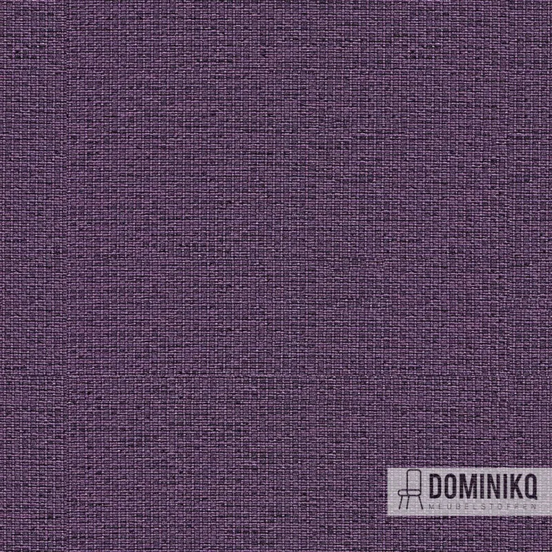 Camira - Gravity - CPC02 - Lavande