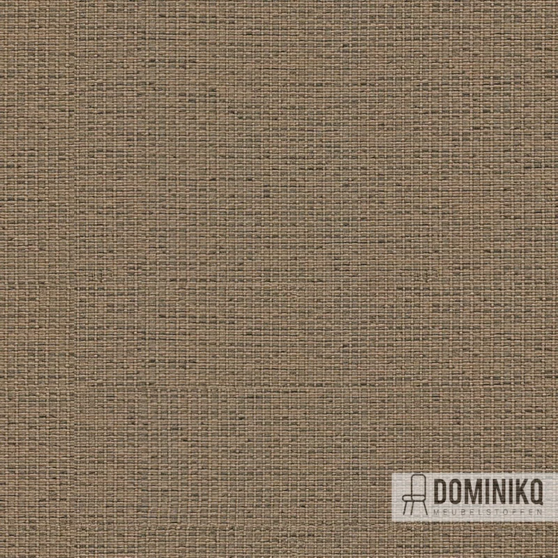 Camira - Gravity - CPC10 - Amande