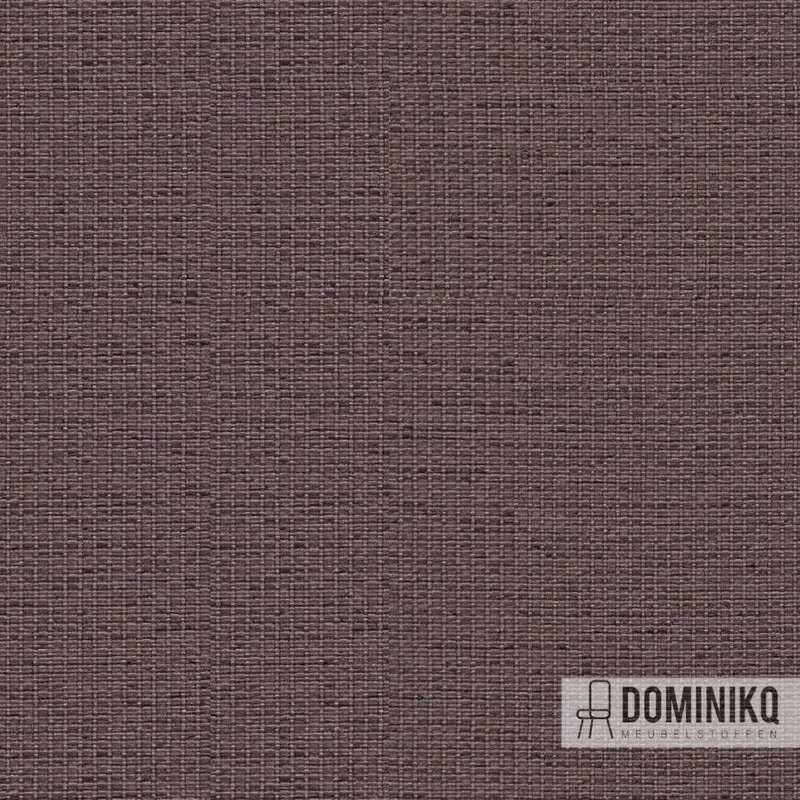 Camira - Gravity - CPC12 - Noix de muscade