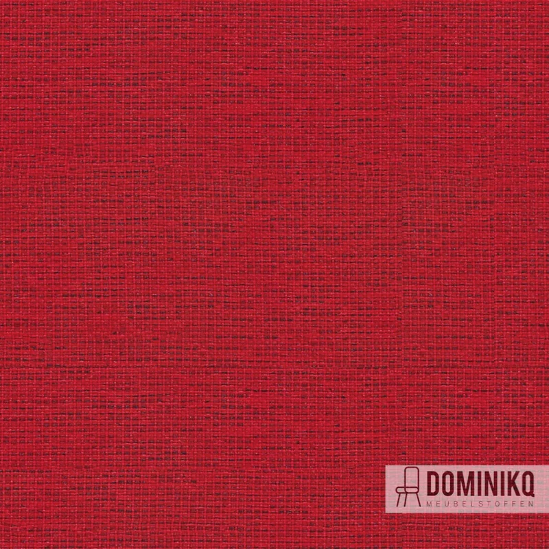Camira - Gravity - CPC25 - Tulipe
