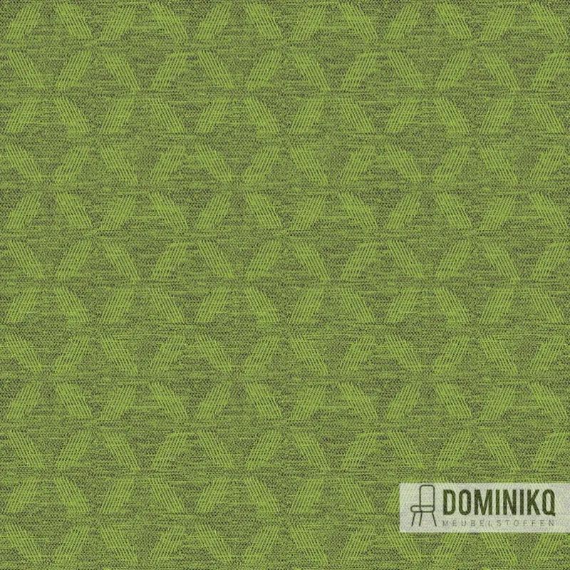 Camira -Alcyon Aspen - HPA07 - Groseille