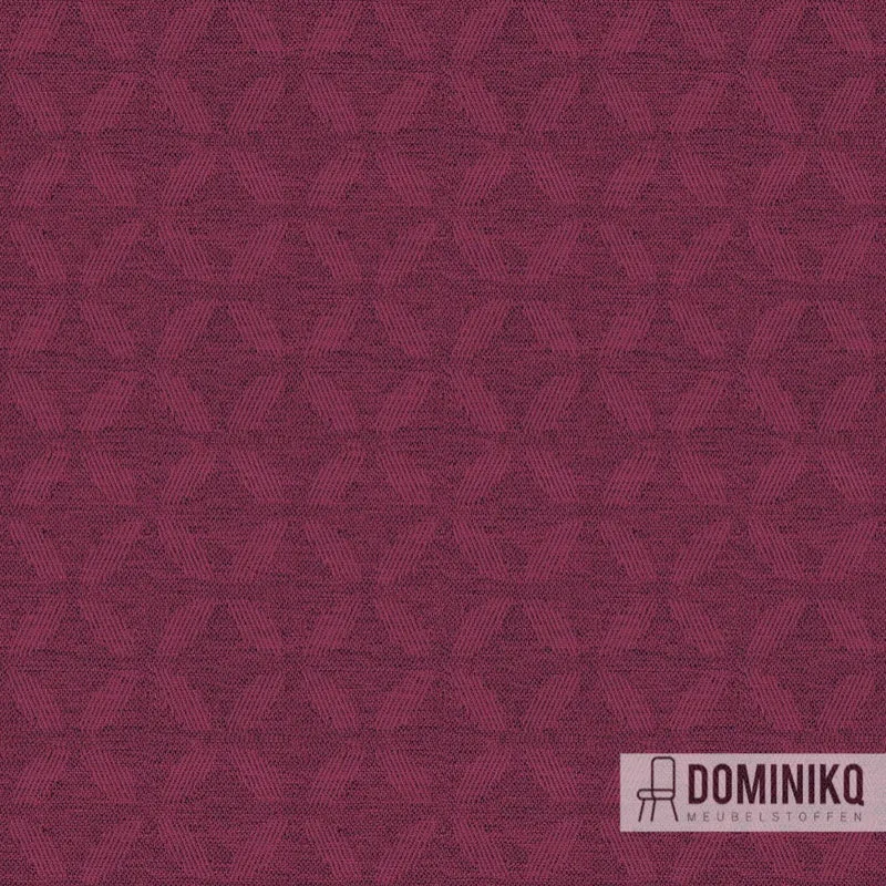 Camira -Alcyon Aspen - HPA01 - Pétale