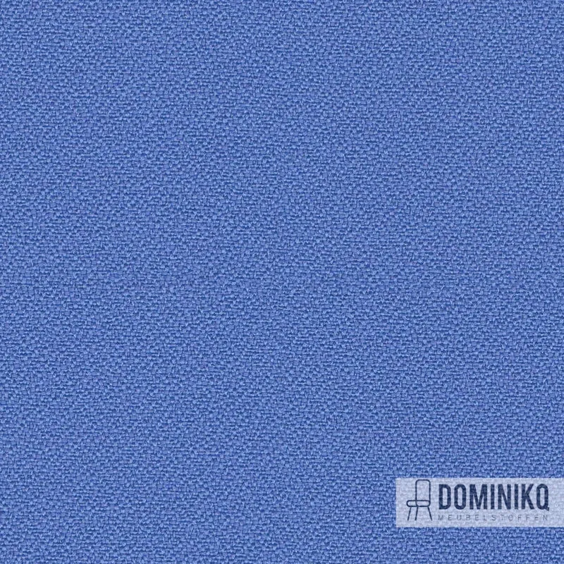 Camira - Lucia - YB097 - Jacinthe des bois