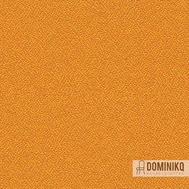 Camira - Lucia - YB088 - Solano