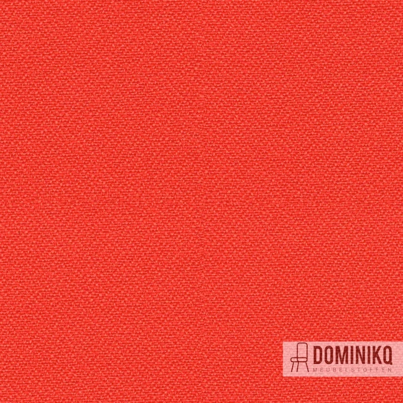 Camira - Lucia - YB168 - Tortue