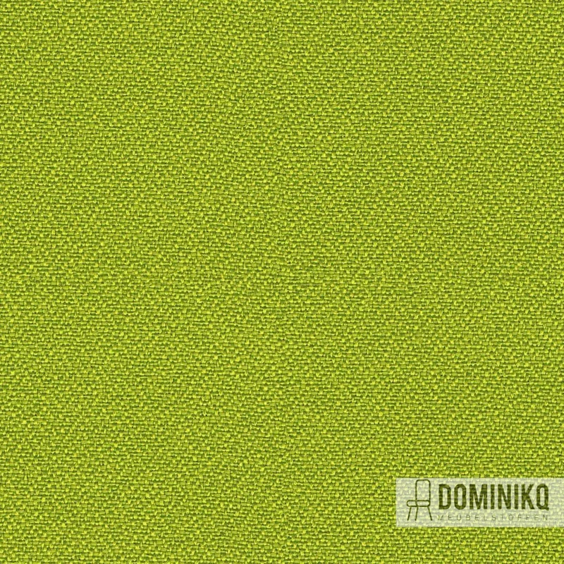 Camira - Lucia CS - LC419 - Tenom
