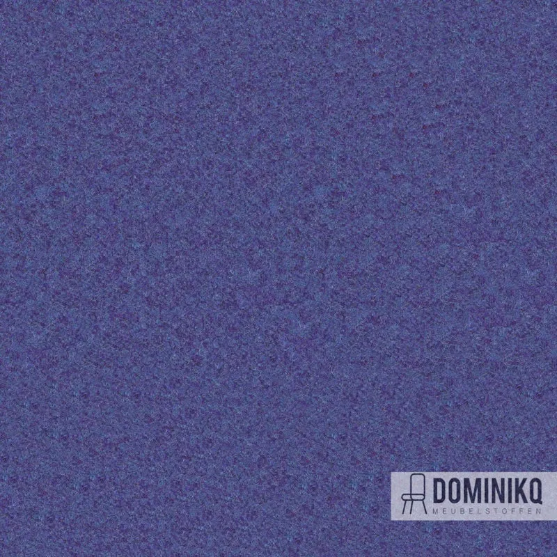 Camira Fabrics - Synergy - LDS68 - Collaborer