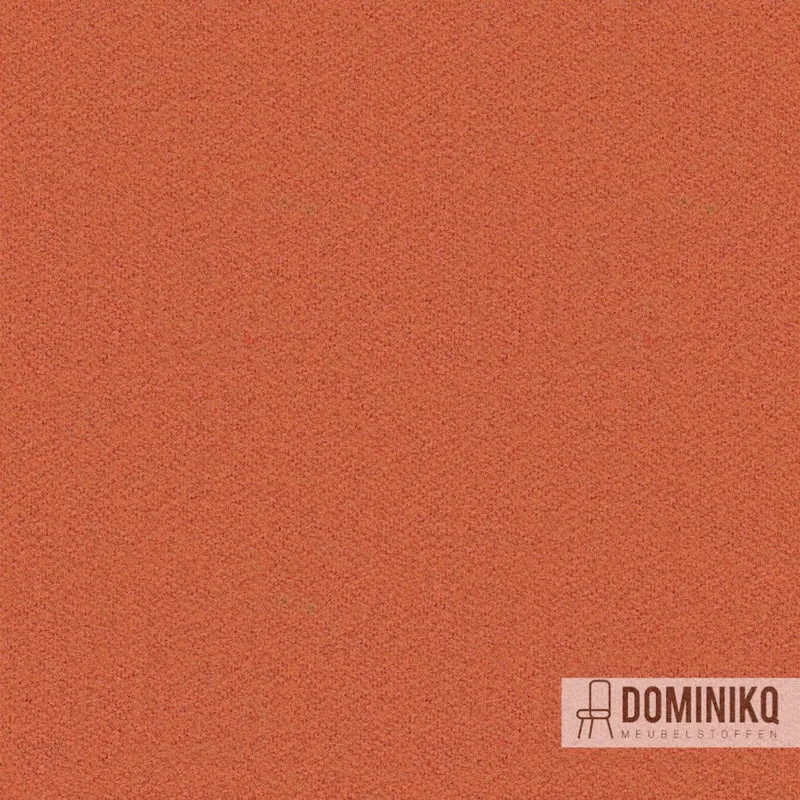 Camira Fabrics - Synergy - LDS75 - Cotisation
