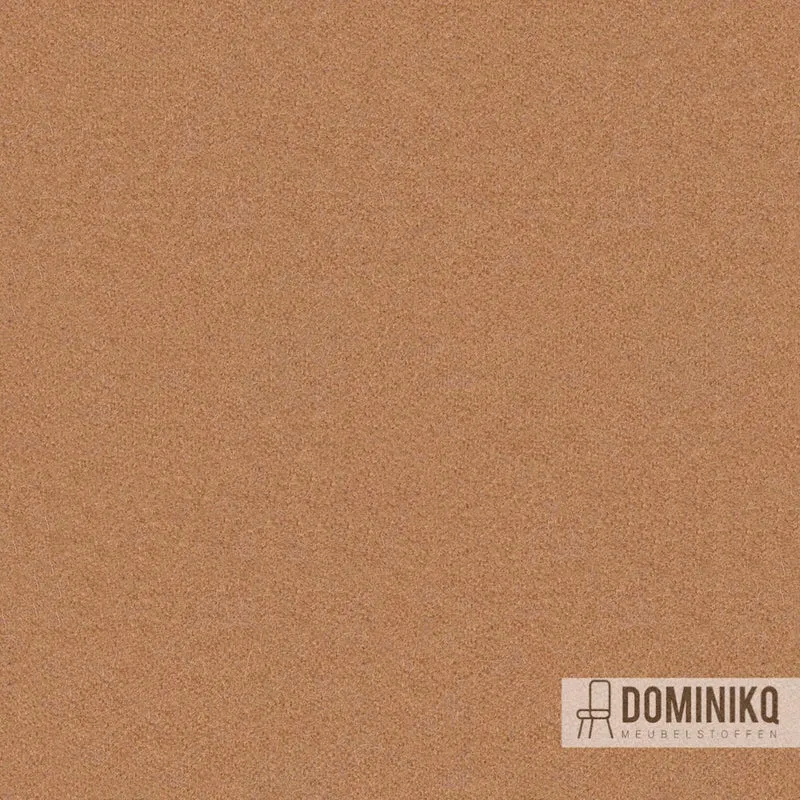 Camira Fabrics - Synergy - LDS18 - Boucle